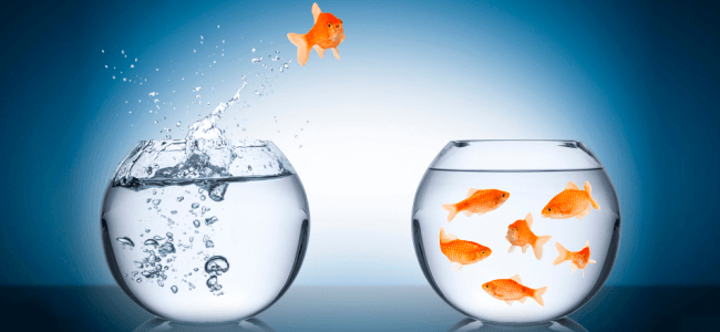 Converter clientes