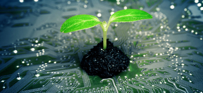 odigitalaonatural