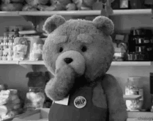 kiss ted kiss ted